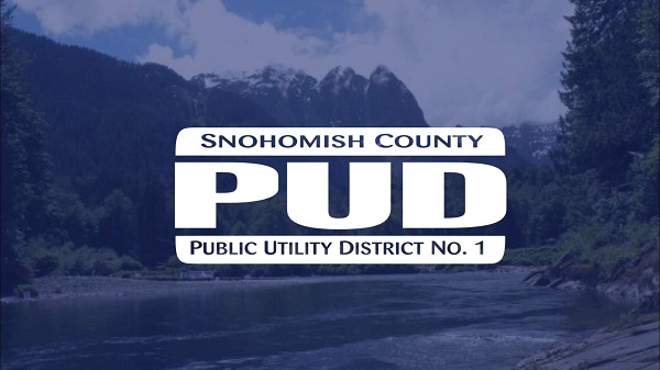 case study snopud utility opentext upgrade and bill redesign